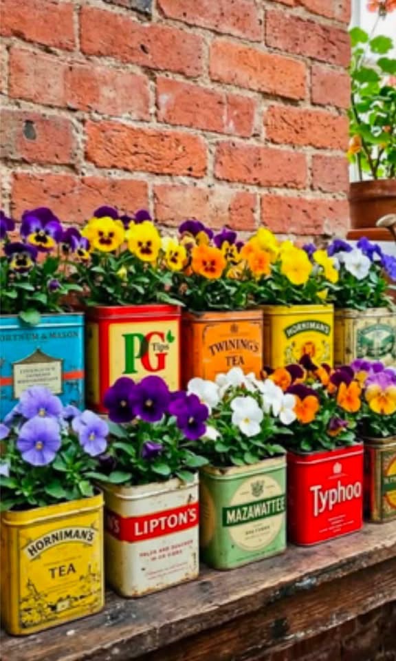 Colorful pansies in vintage tea tins against a brick wall
