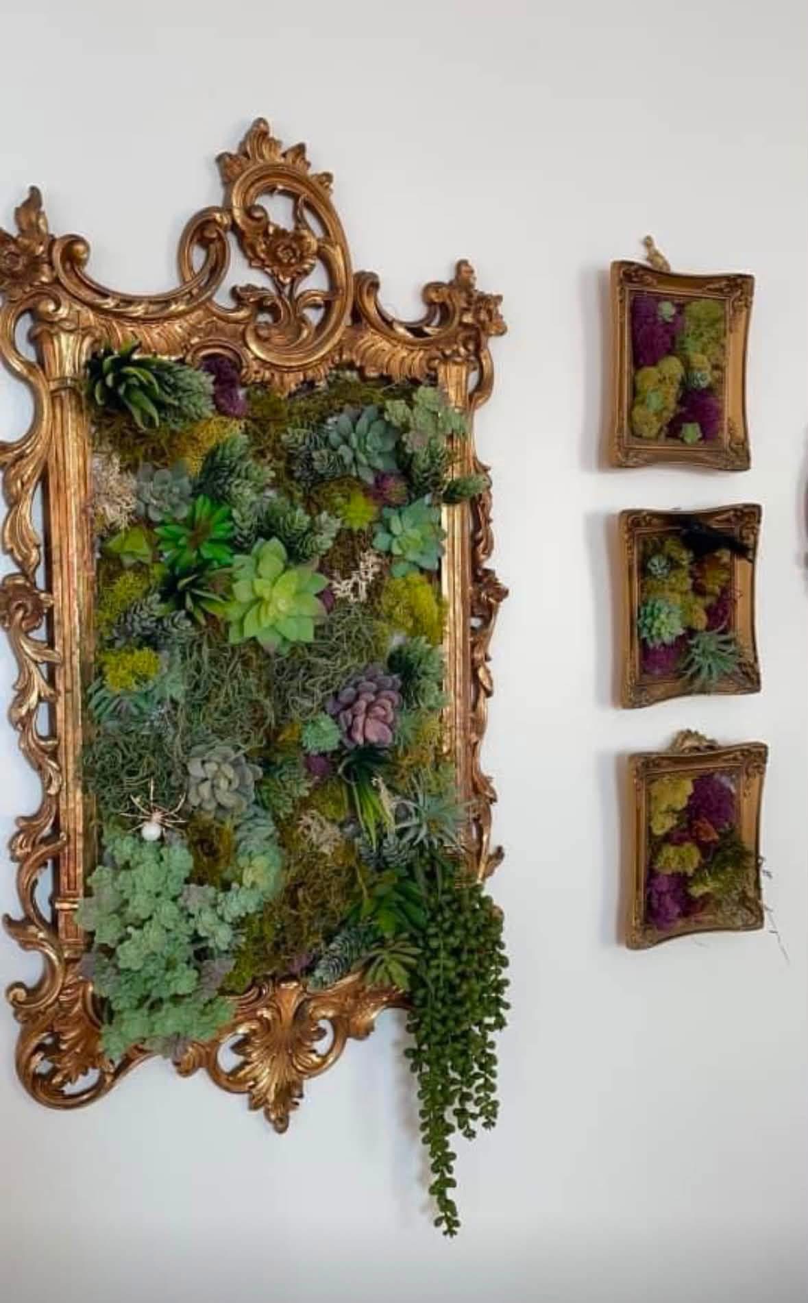 Succulents and moss arranged inside ornate gold frames
