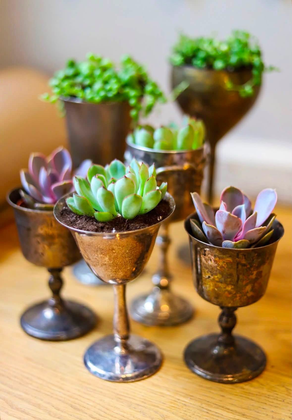Succulents planted in vintage metal goblets