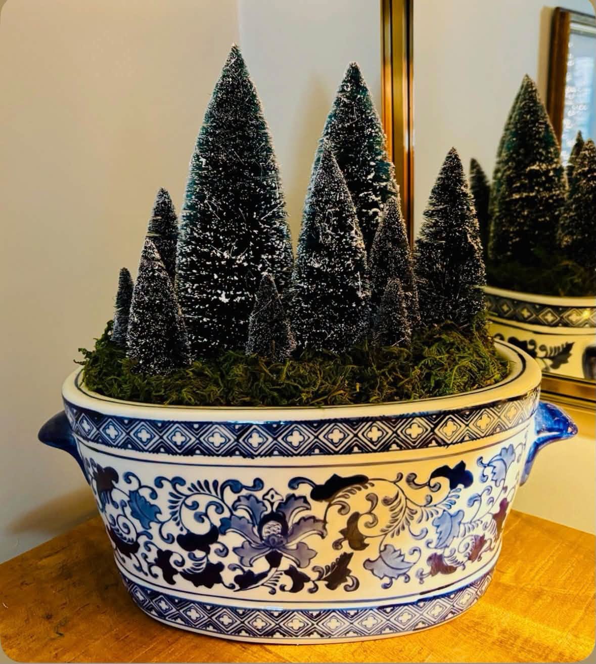 Miniature evergreen trees displayed in a blue and white planter