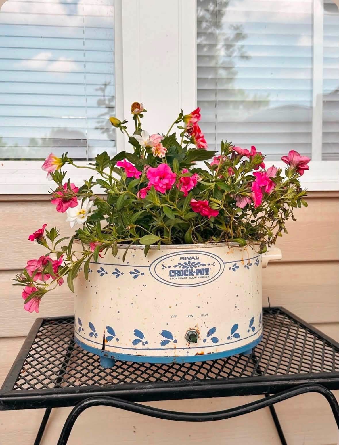 Pink flowers growing in a vintage slow cooker planter