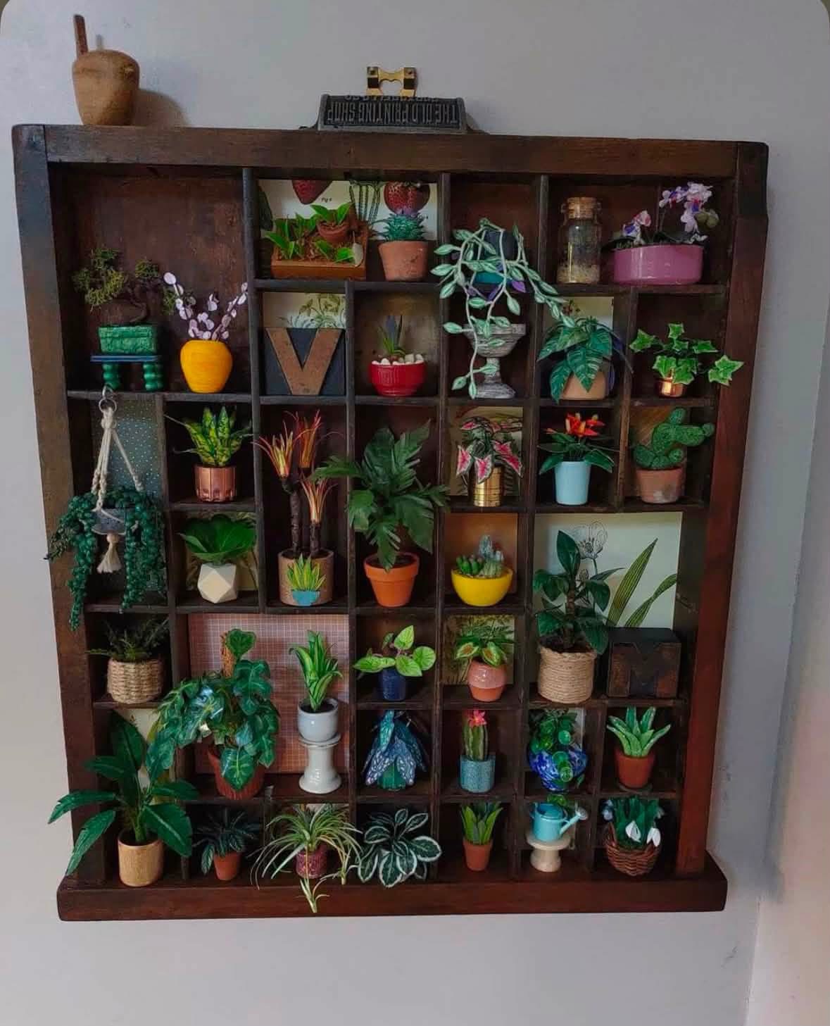Miniature plants displayed in wooden shelf compartments