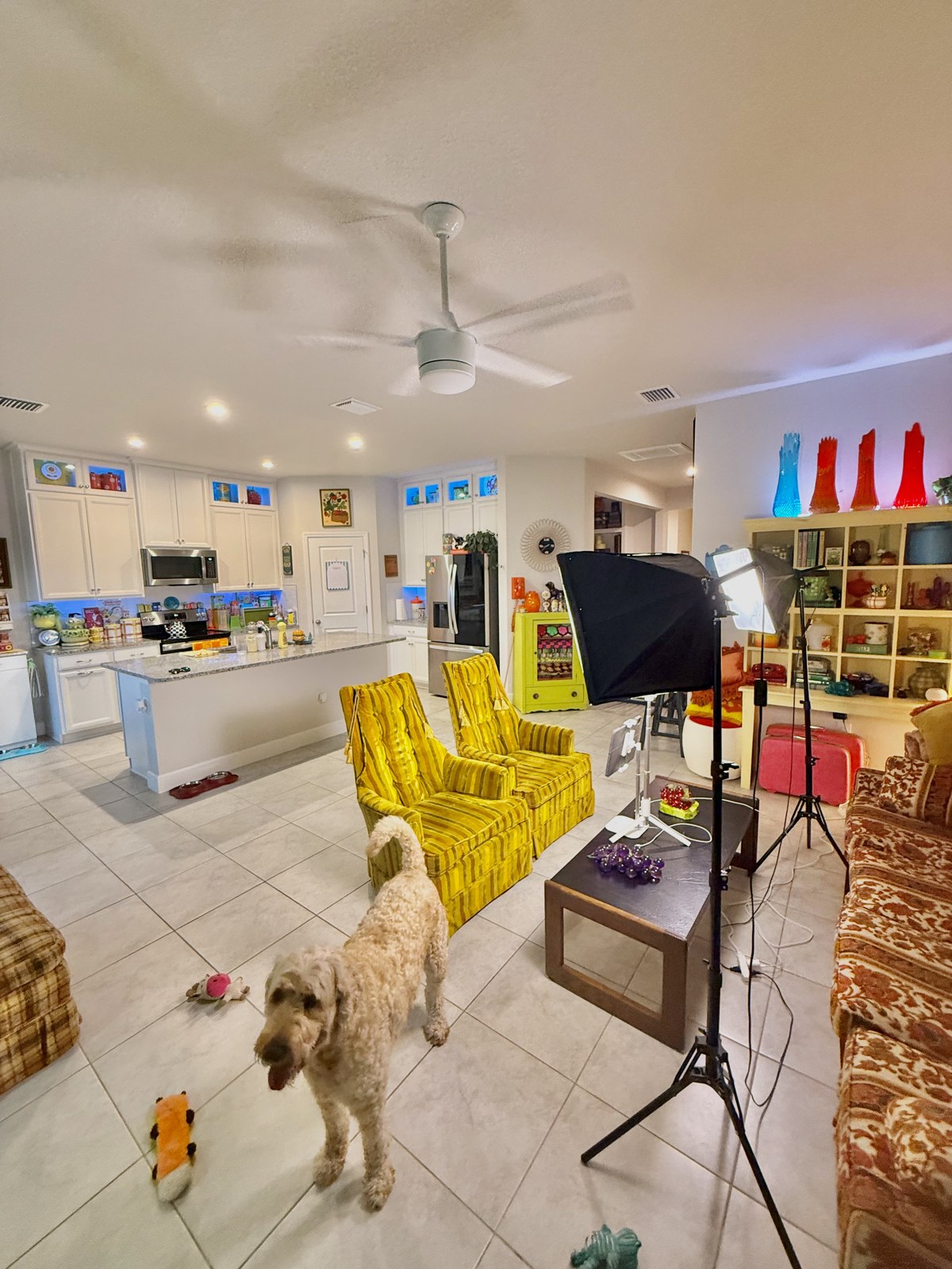 Behind the scenes of a seller support show, with two yellow chairs, studio lights and a dog in the living room