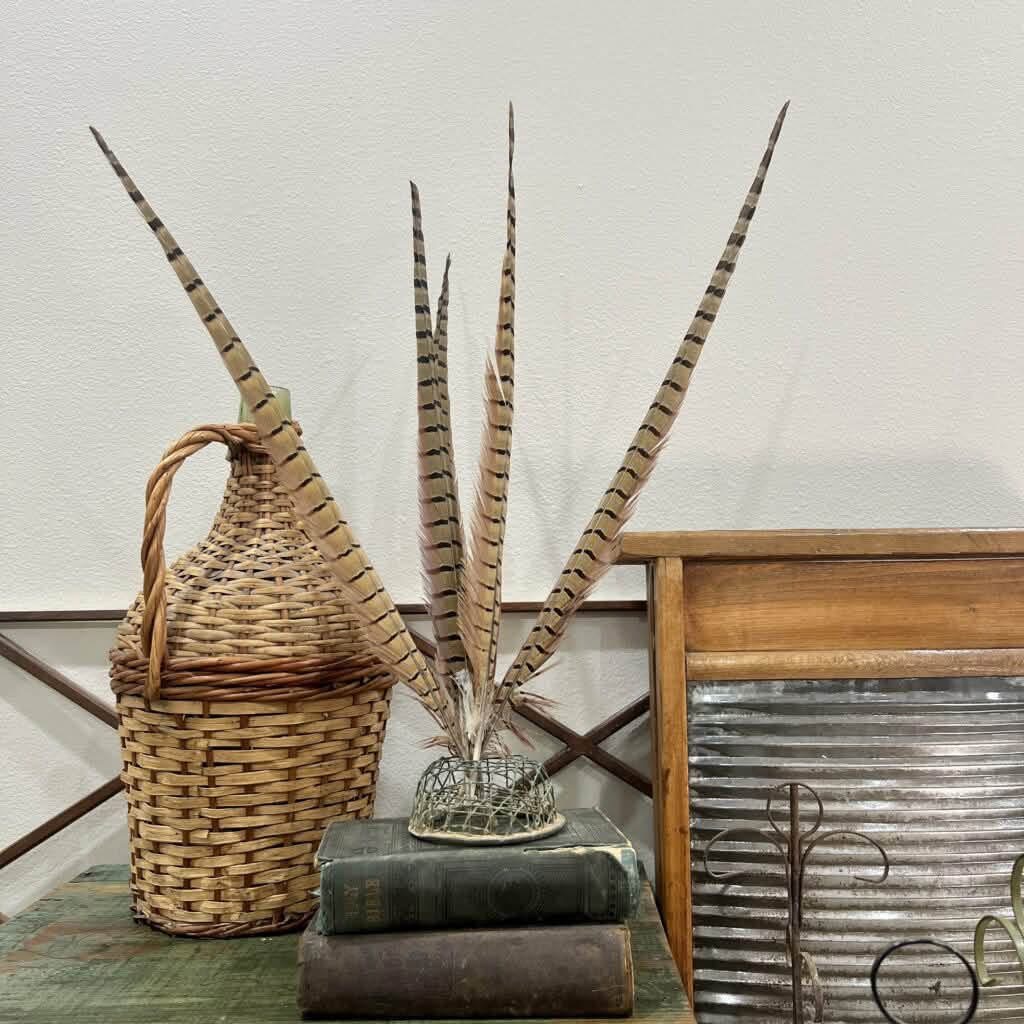 Long feathers displayed in a wire flower frog on stacked books